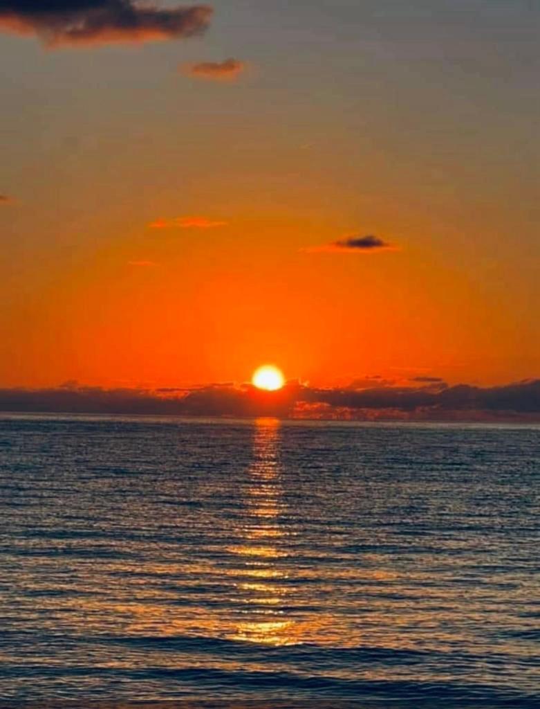 One bedroom apt with private patio near Fort Lauderdale beach Buitenkant foto
